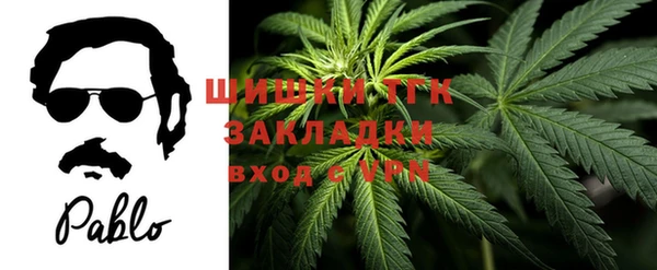 соль ск Алзамай