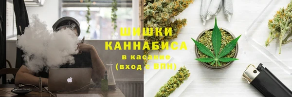 соль ск Алзамай
