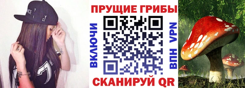 Псилоцибиновые грибы GOLDEN TEACHER  Березники 
